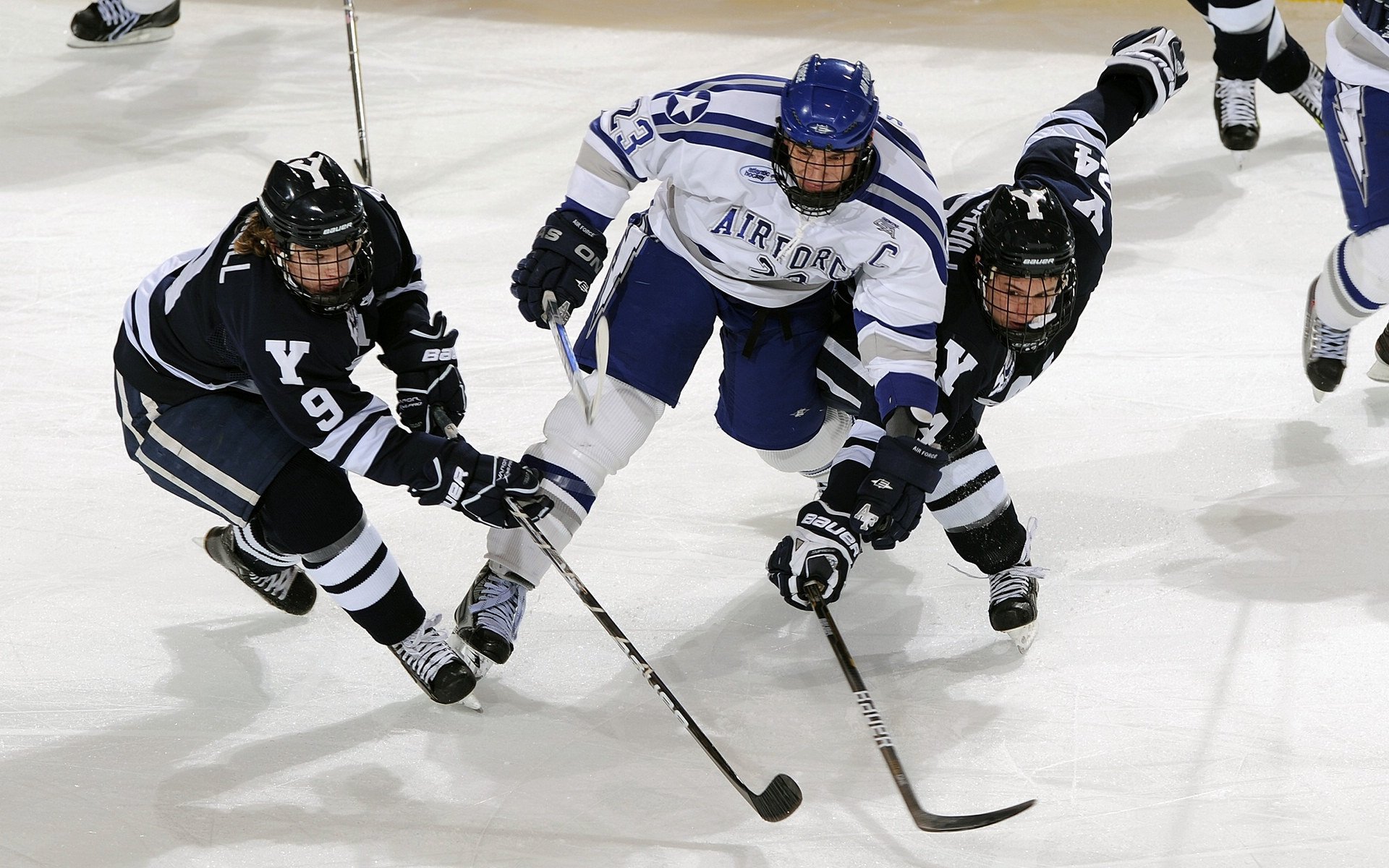 马其顿女篮在欧洲锦标赛中夺得佳绩，未来可期